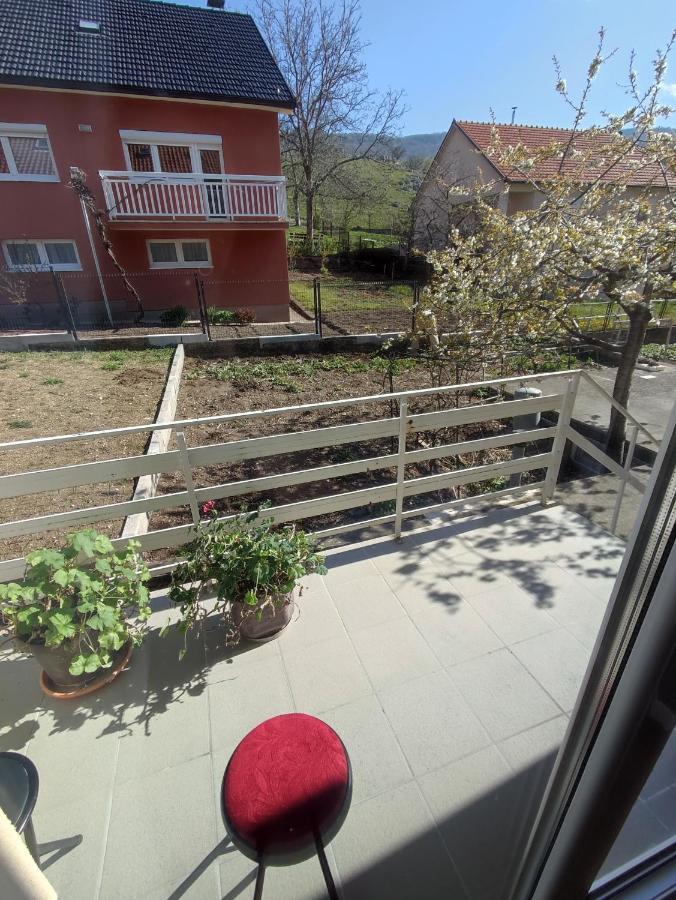 Apartman Bor 리브노 외부 사진